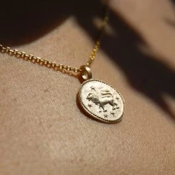 Collier Médaille Personnalisé Signe Du Zodiaque -Atelier de Famille Soldes astro lion 1