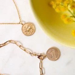 Collier Médaille Personnalisé Signe Du Zodiaque -Atelier de Famille Soldes astro lion 3