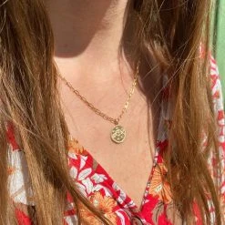 Collier Médaille Signe Du Zodiaque Sur Chaîne Maillon Ovale Plaqué Or 2 Collier Médaille Signe Du Zodiaque Sur Chaîne Maillon Ovale Plaqué Or -Atelier de Famille Soldes gemeaux porte