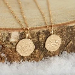 Collier Médaille Personnalisé Signe Du Zodiaque -Atelier de Famille Soldes zodiaque 3 1200 2